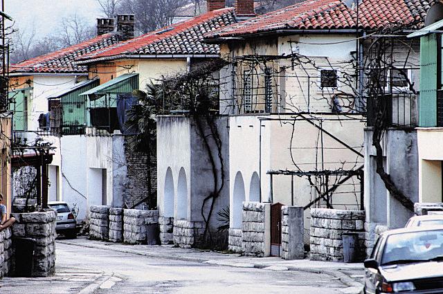 ilustracija